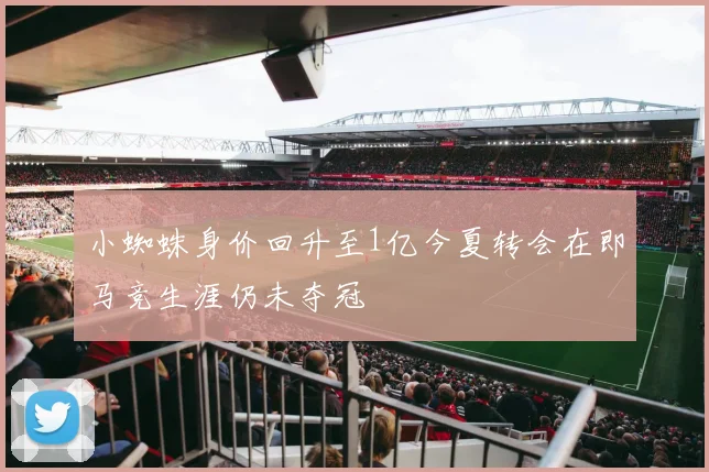 小蜘蛛身价回升至1亿今夏转会在即马竞生涯仍未夺冠